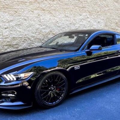 mustang_QWT mustang_QWT