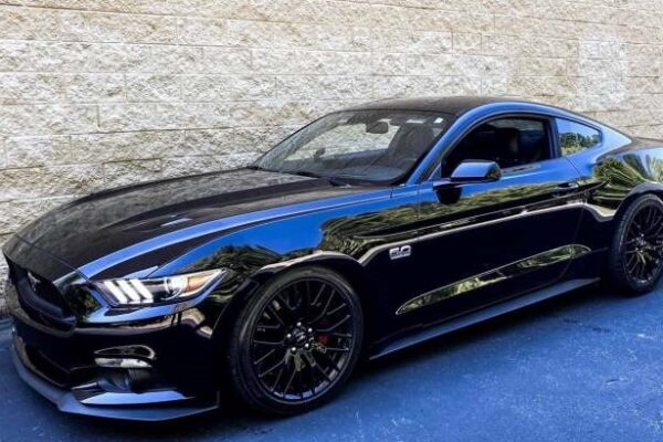 mustang_QWT mustang_QWT